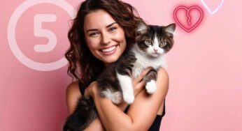 I 5 segnali che ti dicono se il tuo gatto ti vuole bene o meno: sono inconfondibili