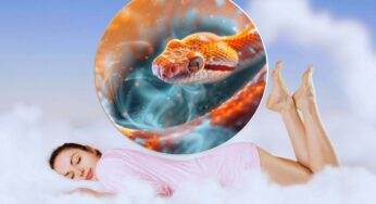 “Ho sognato un serpente”: se ti è capitato almeno una volta, devi conoscerne il significato psicologico