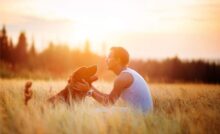 come insegnare il richiamo al cane