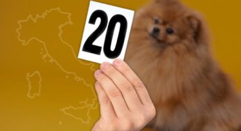 I venti nomi di cani più utilizzati in Italia: i primi 3 sono davvero sorprendenti