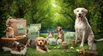 Accessori eco-friendly per animali e ambiente