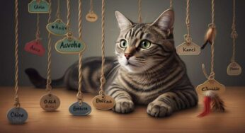 Idee creative per trovare il nome perfetto per il tuo gatto